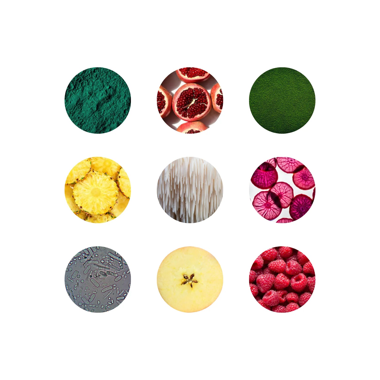 A variety of the most powerful superfoods on the planet