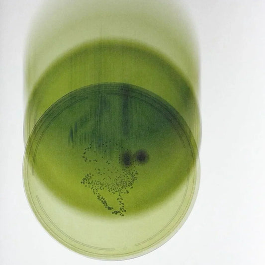 How We Test GRNS: Heavy Metals, Pesticides, Microbes and Banned Substances