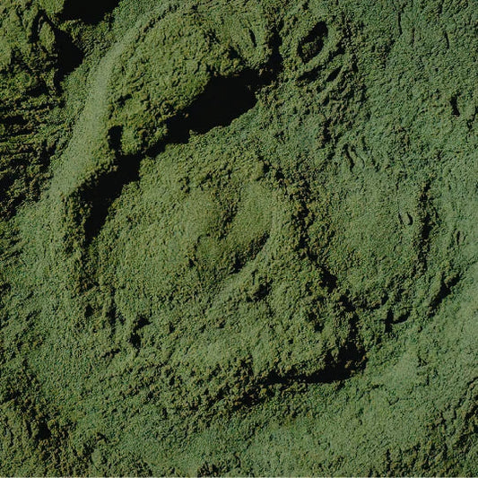 Debunking the Biggest Myths About Greens Powders