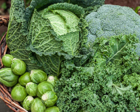 Why Am I Eating Healthy but Still Tired or Fatigued?