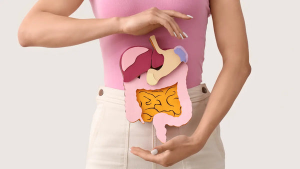Why Your Body Might Not Be Absorbing What You Eat