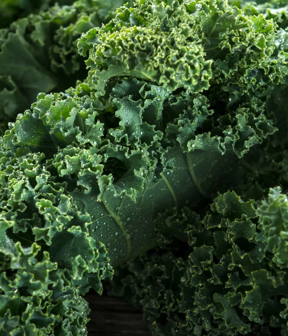 Vegetables