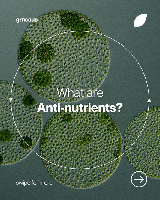 Antinutrients in everyday plant foods and whether they block nutrition