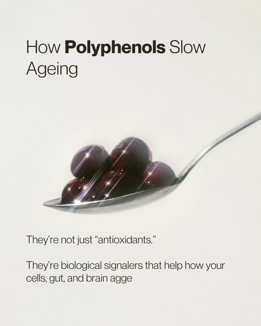 How Polyphenols Slow Ageing: Plant Powered Longevity