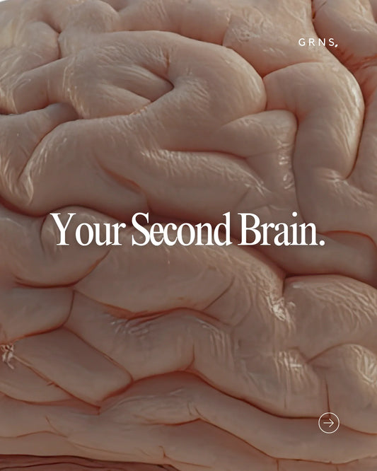 The enteric nervous system, the gut's own network of neurons
