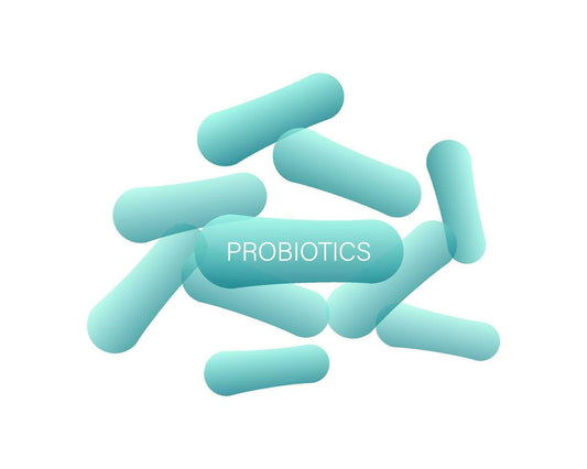 Are the Probiotics in Greens Powder Actually Alive? How Shelf-Stable Probiotics Work