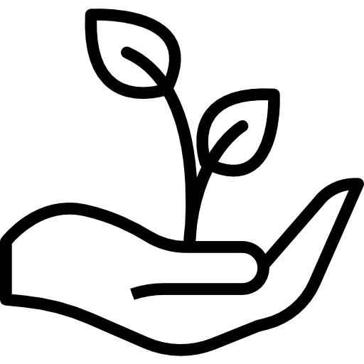 A hand with a plant coming out of it symbolising environmentally friendly