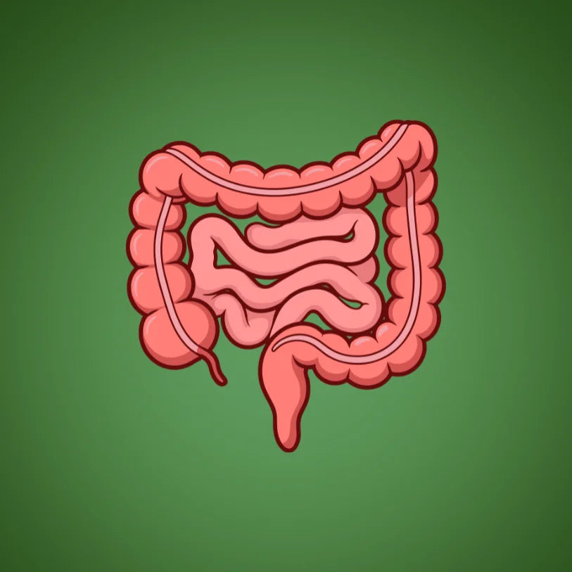 Gut health GRNS