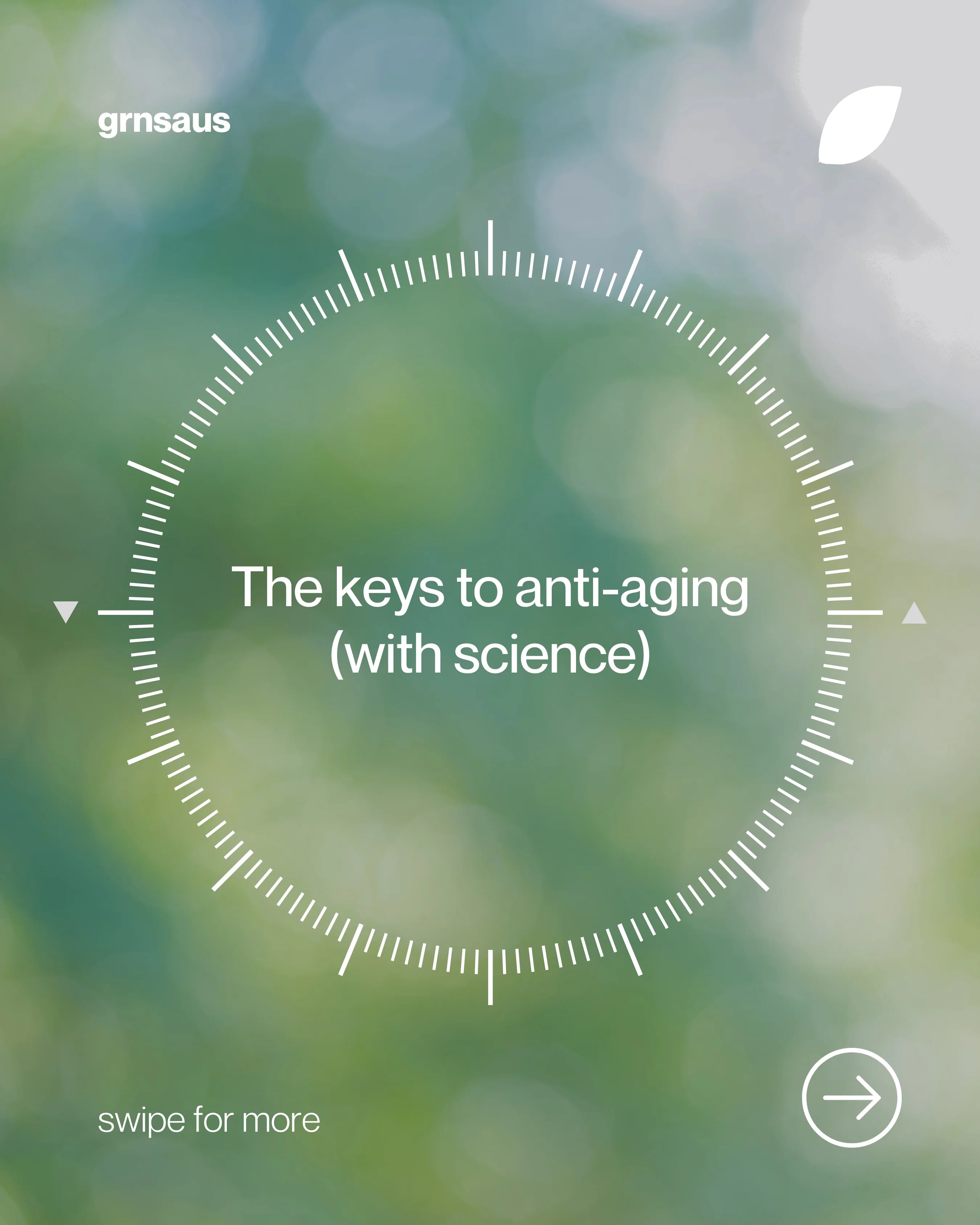 Discover the effect of androgens on the body, and why anti-androgens are so important.