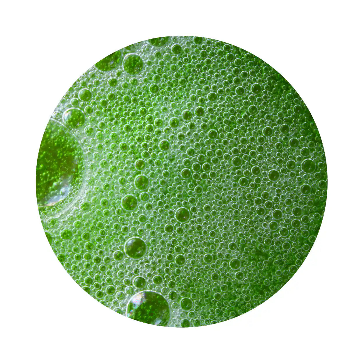 Close-up view of vibrant green bubbles in a nutrient-dense superfood drink, highlighting the freshness and health benefits of GRNS greens powder