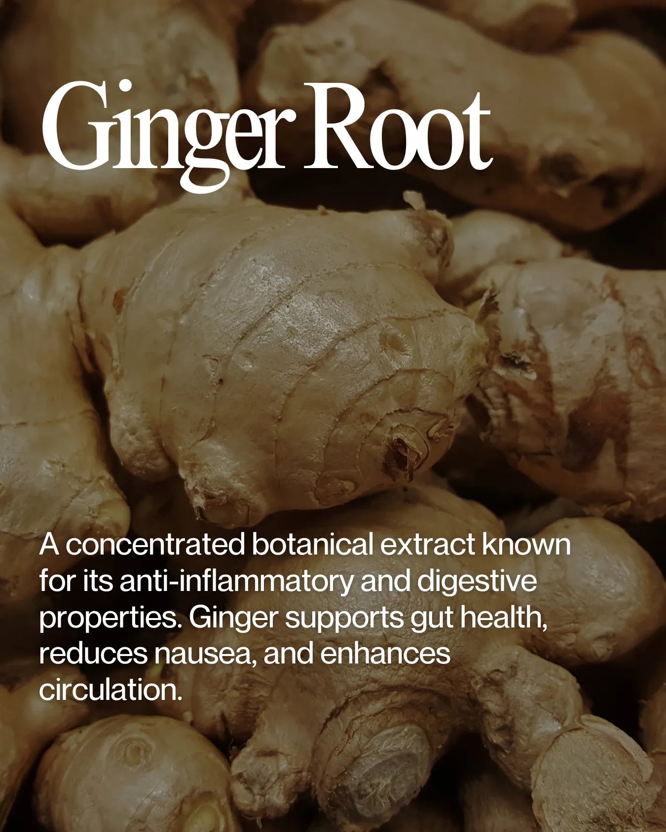 Informational about Ginger Root health benefits