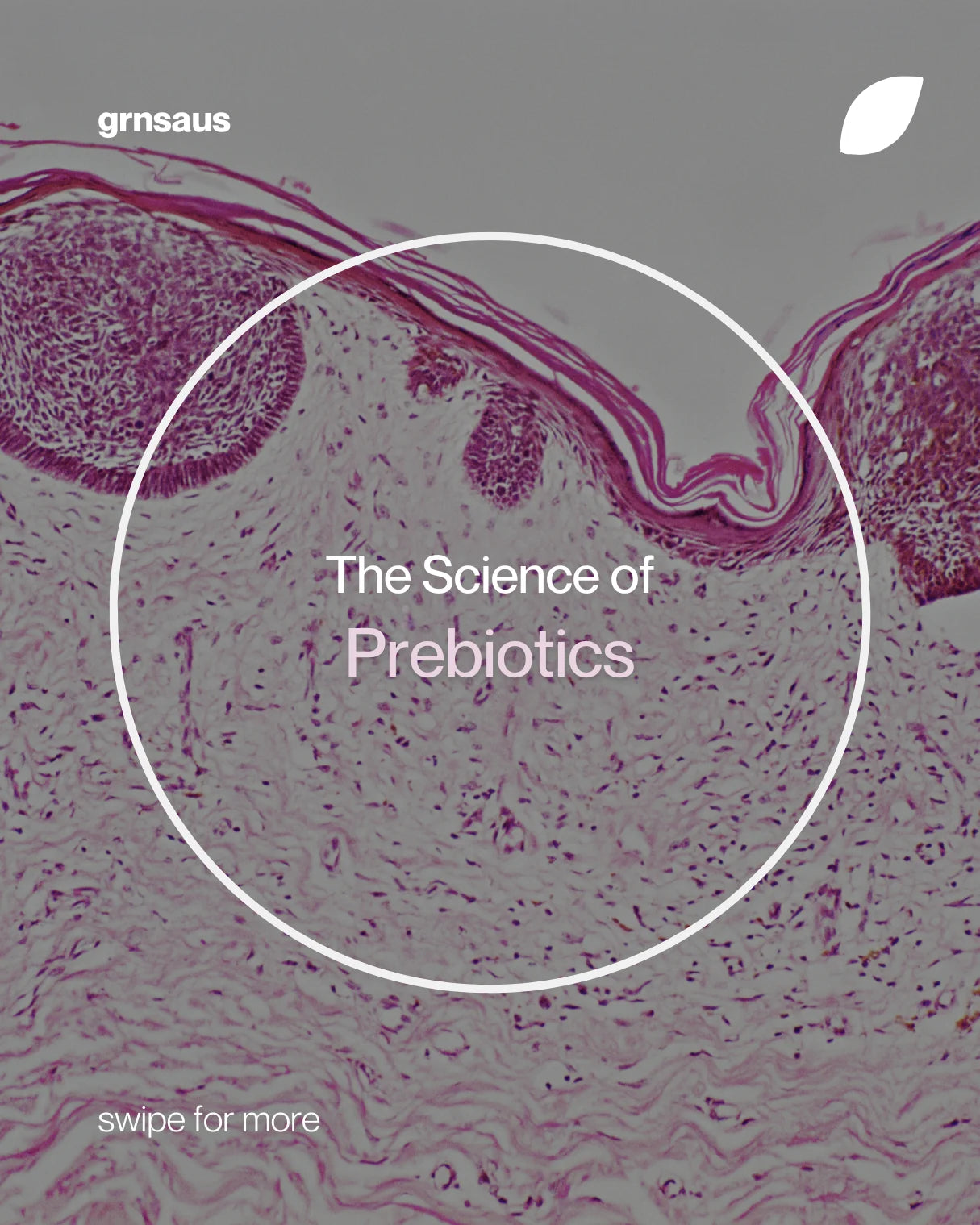 Minimalist design with a flowing green field backdrop, promoting natural solutions and tips on how to defeat bloating with GRNS Australia