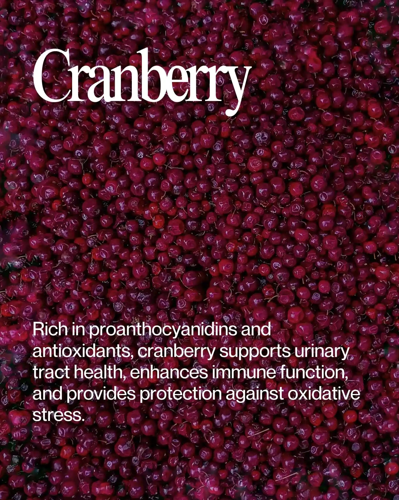 Informational about Cranberry health benefits