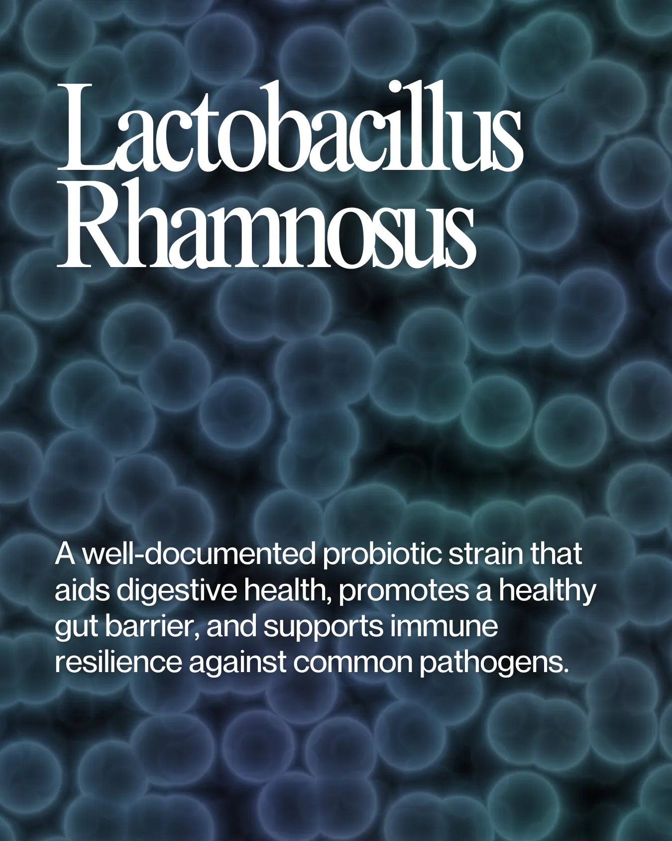 Informational about Bifidobacterium Rhamnosus health benefits