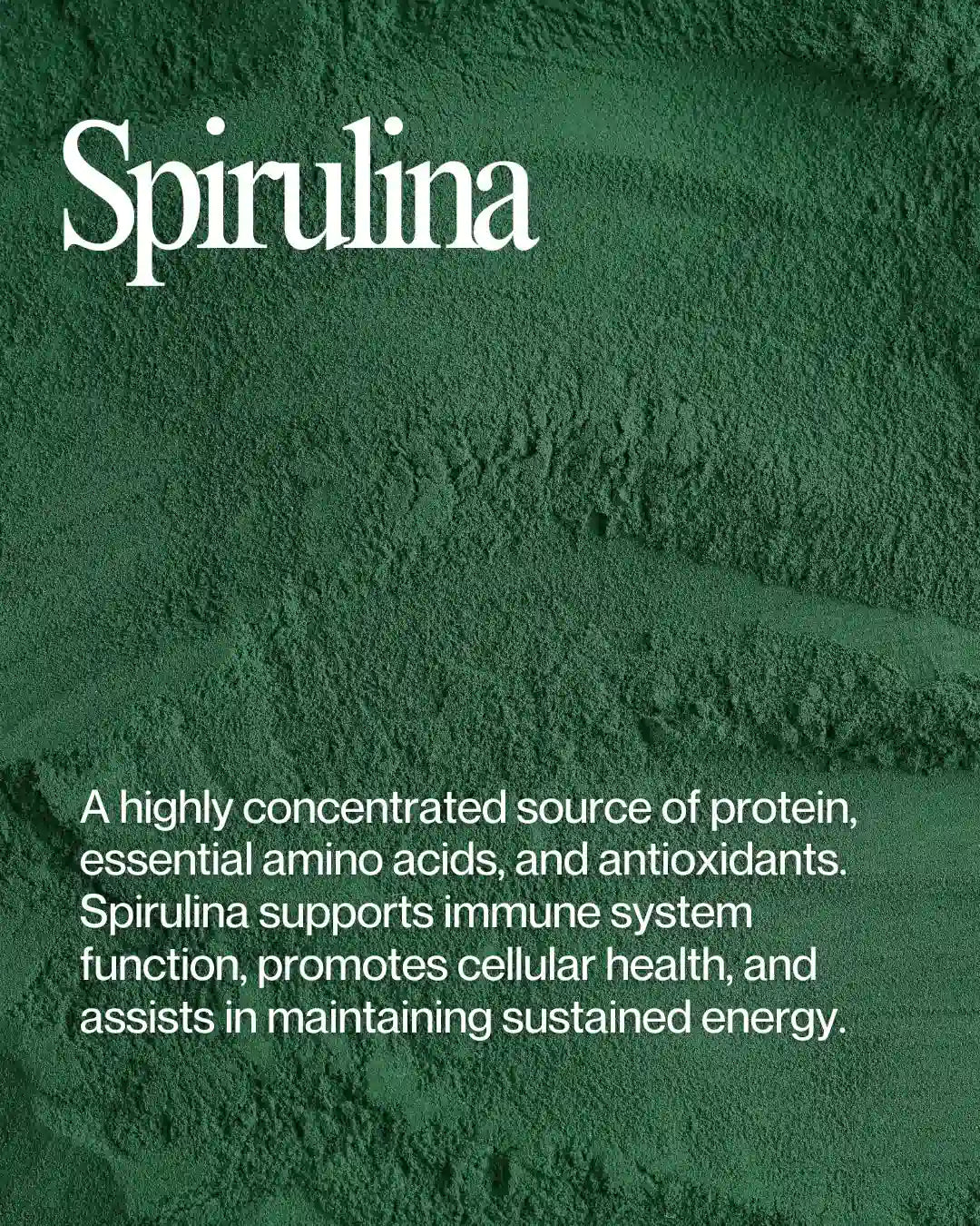 Close-up of vibrant green spirulina powder (Arthrospira platensis), showcasing its rich texture and nutrient-dense properties for health and wellness