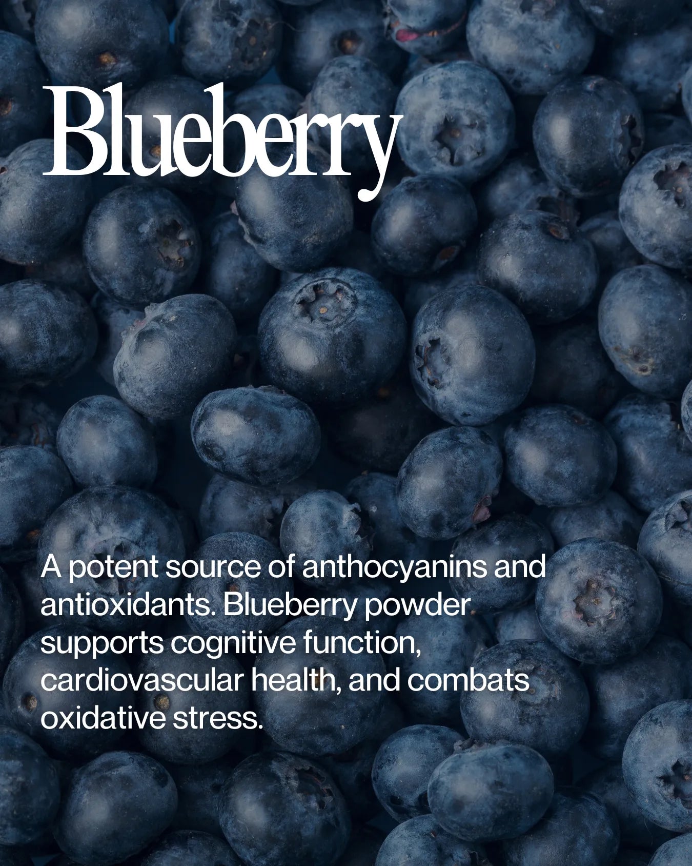 Informational about Blueberry health benefits