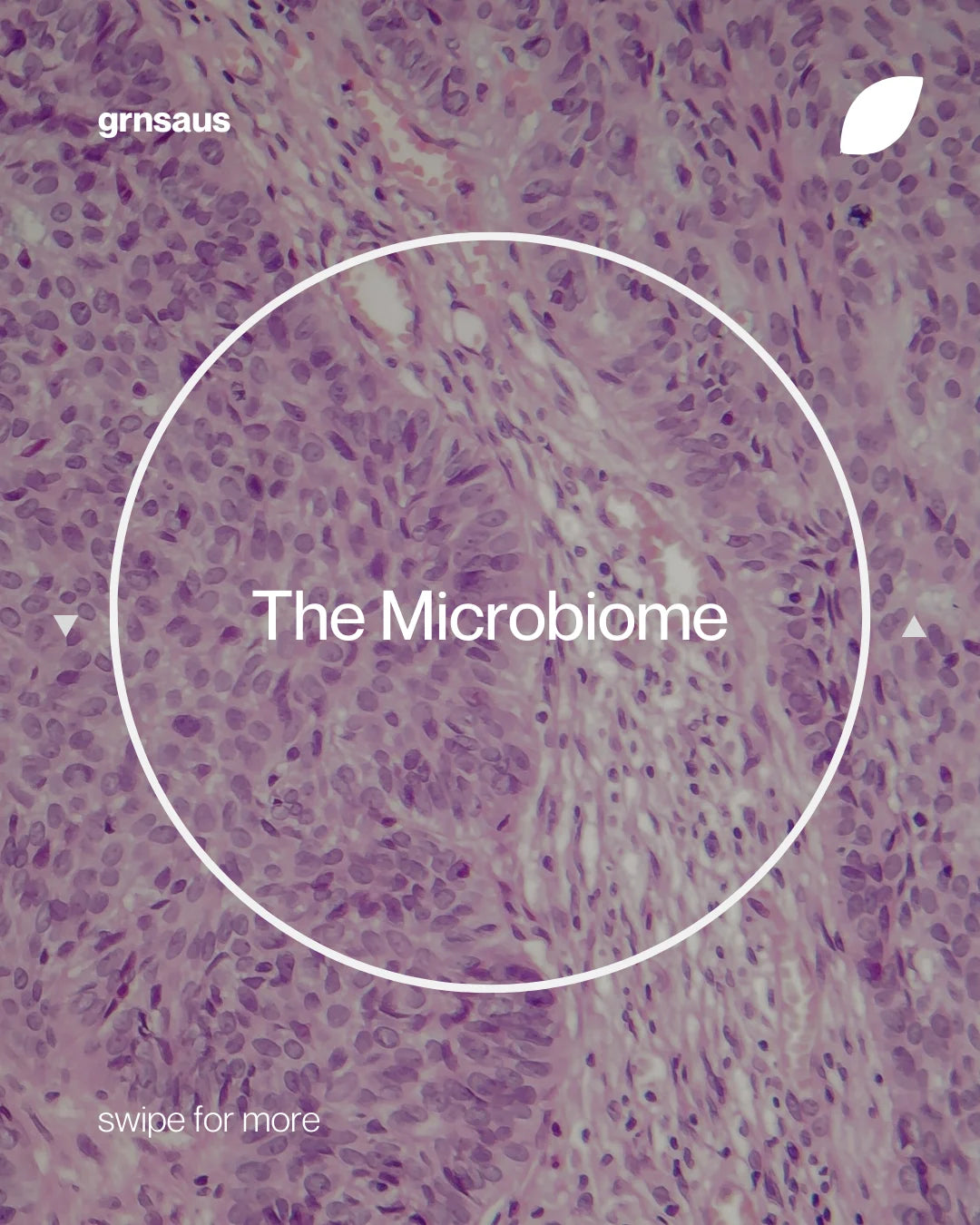 Minimalist design with a flowing green field backdrop, promoting natural solutions and tips on how to defeat bloating with GRNS Australia