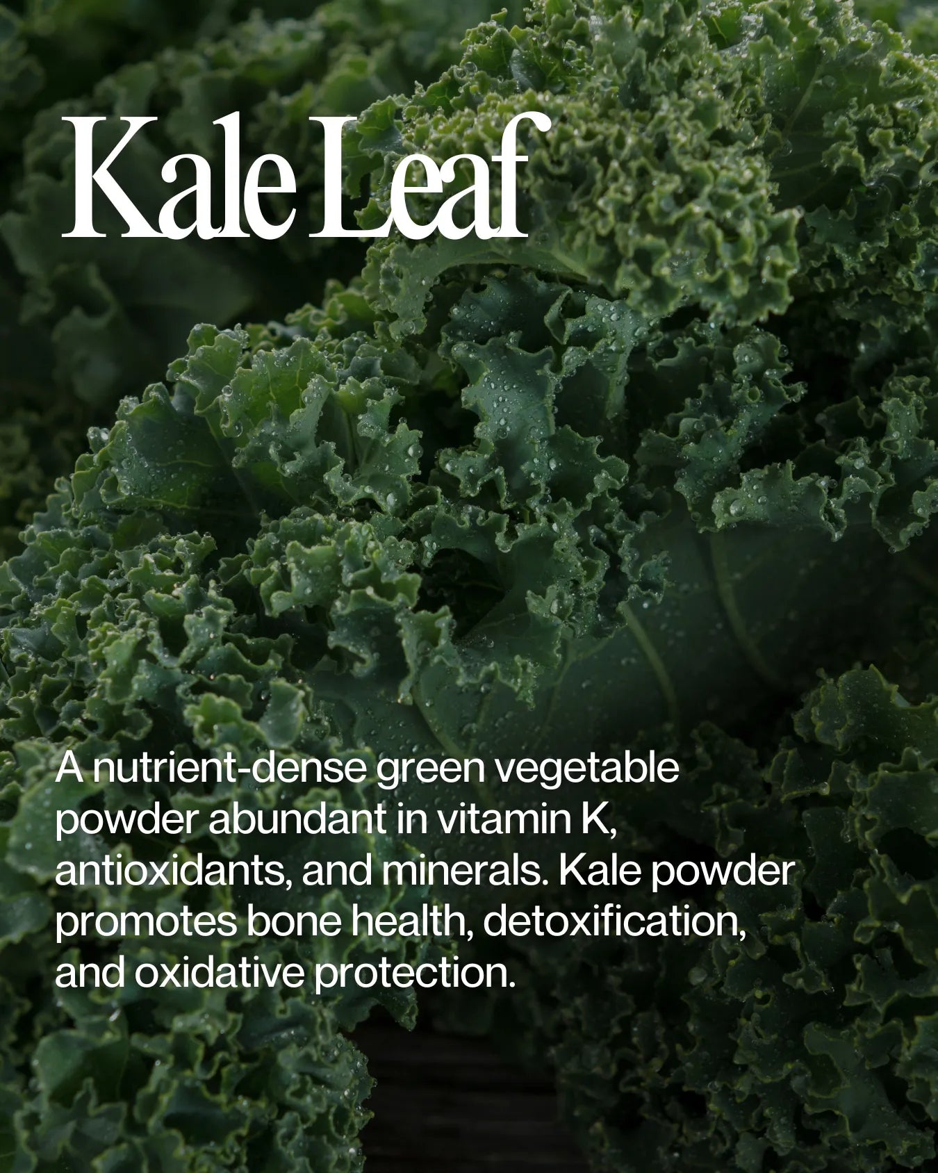 Informational about Kale health benefits