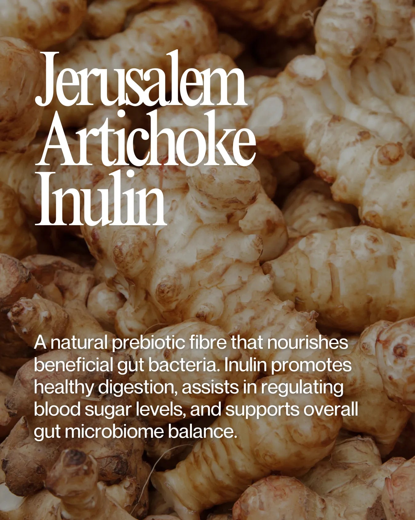 Close-up of Jerusalem Artichoke Inulin showcasing its rich texture and nutrient-dense properties for health and wellness