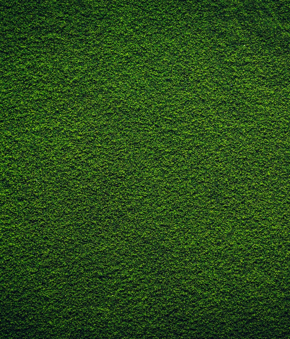textured close-up of vibrant green powder, showcasing the rich and nutrient-packed essence of greens supplements with GRNS aus