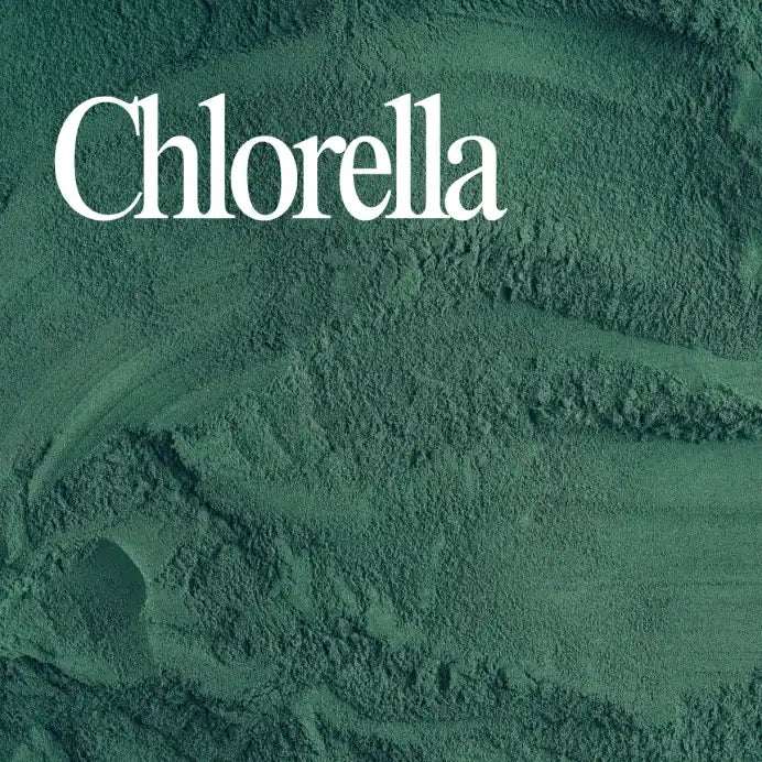 Chlorella