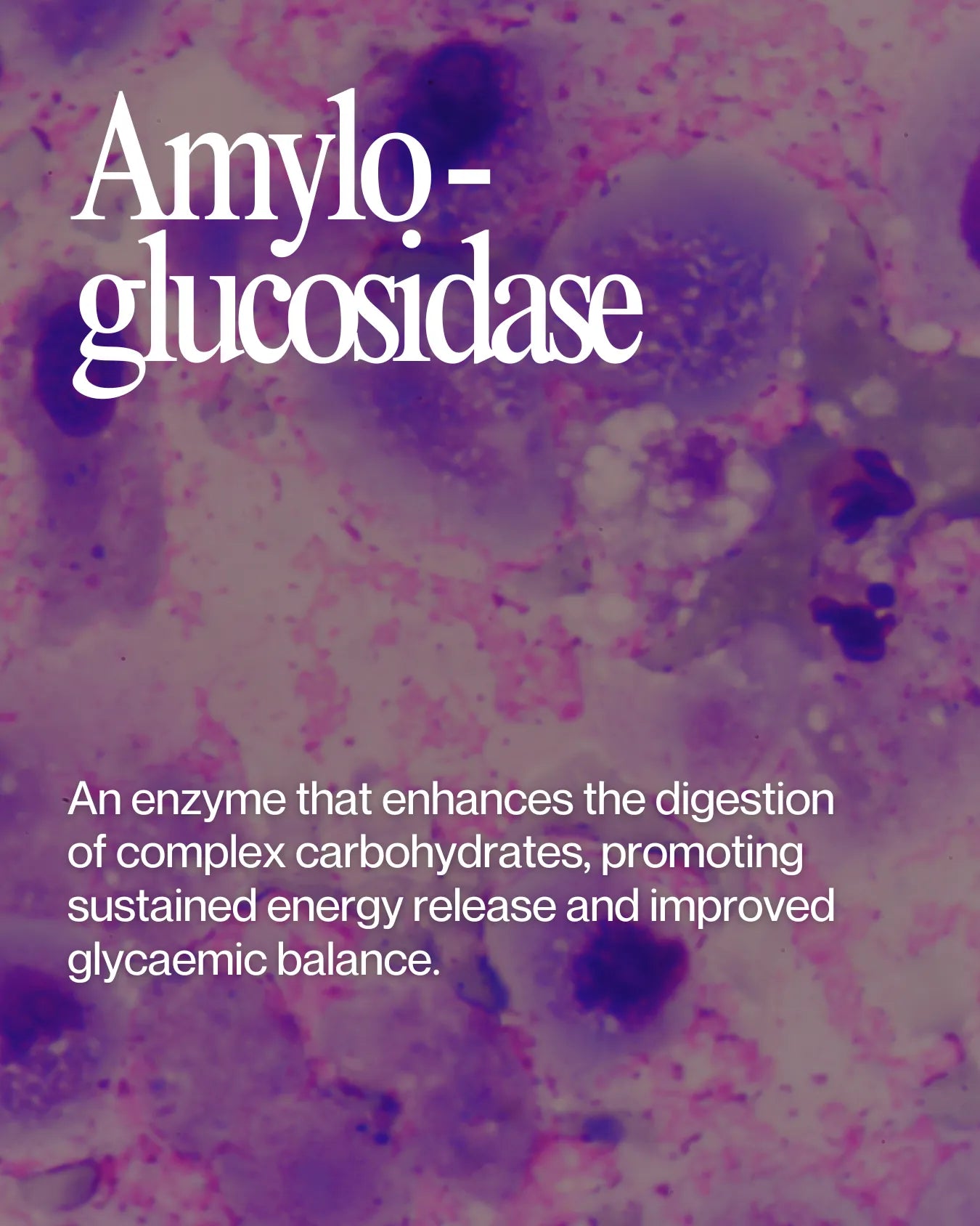 Informational about Amyglucosidase health benefits