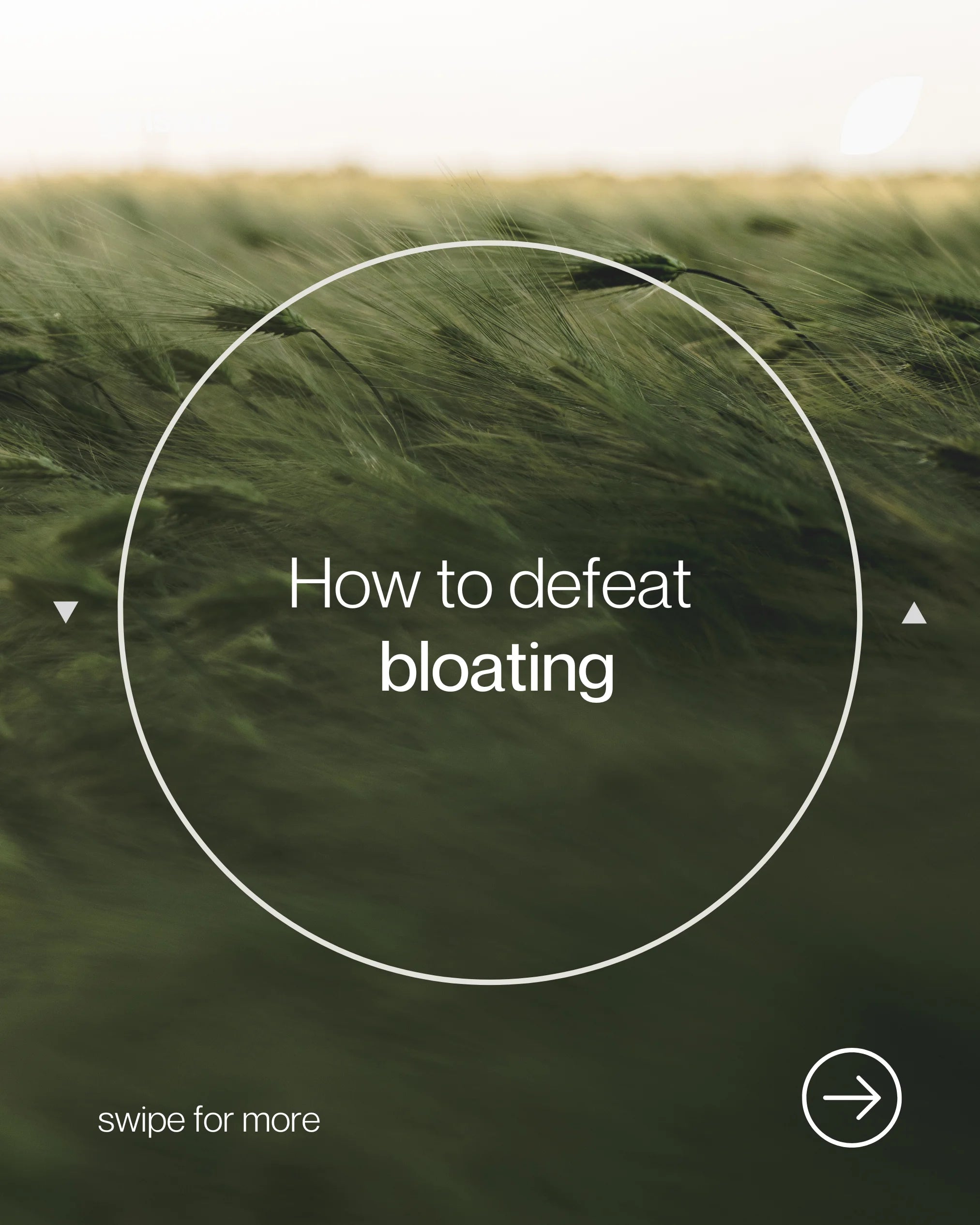 Minimalist design with a flowing green field backdrop, promoting natural solutions and tips on how to defeat bloating with GRNS Australia