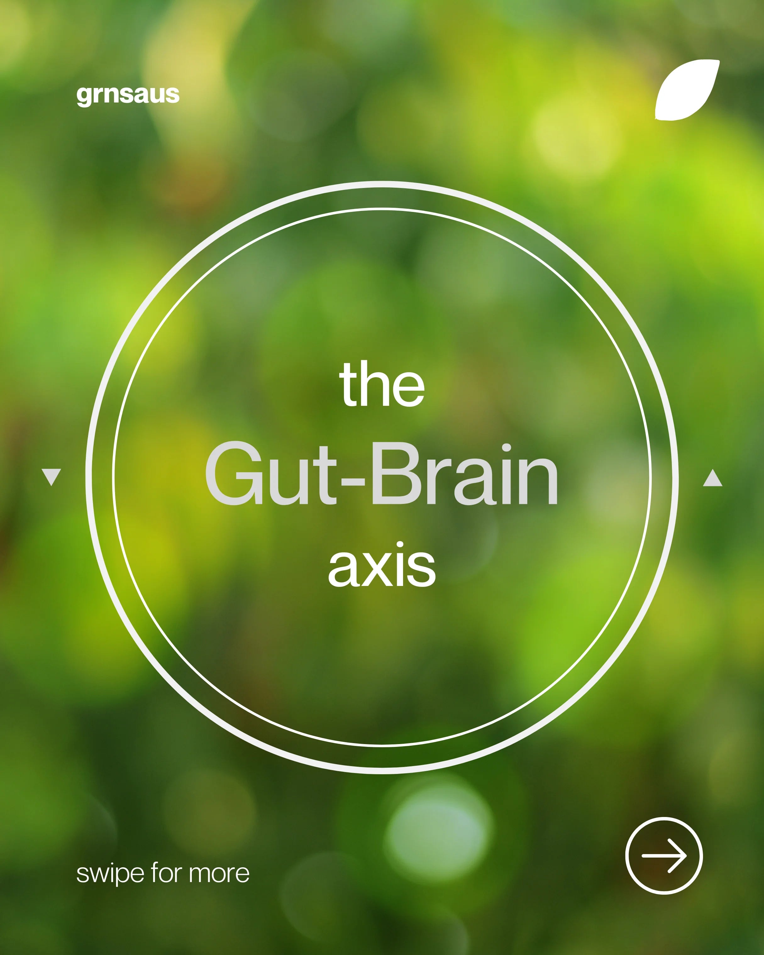 Guide to gut health displayed on a minimalistic design with a blurred green background, promoting gut health from GRNS Australia