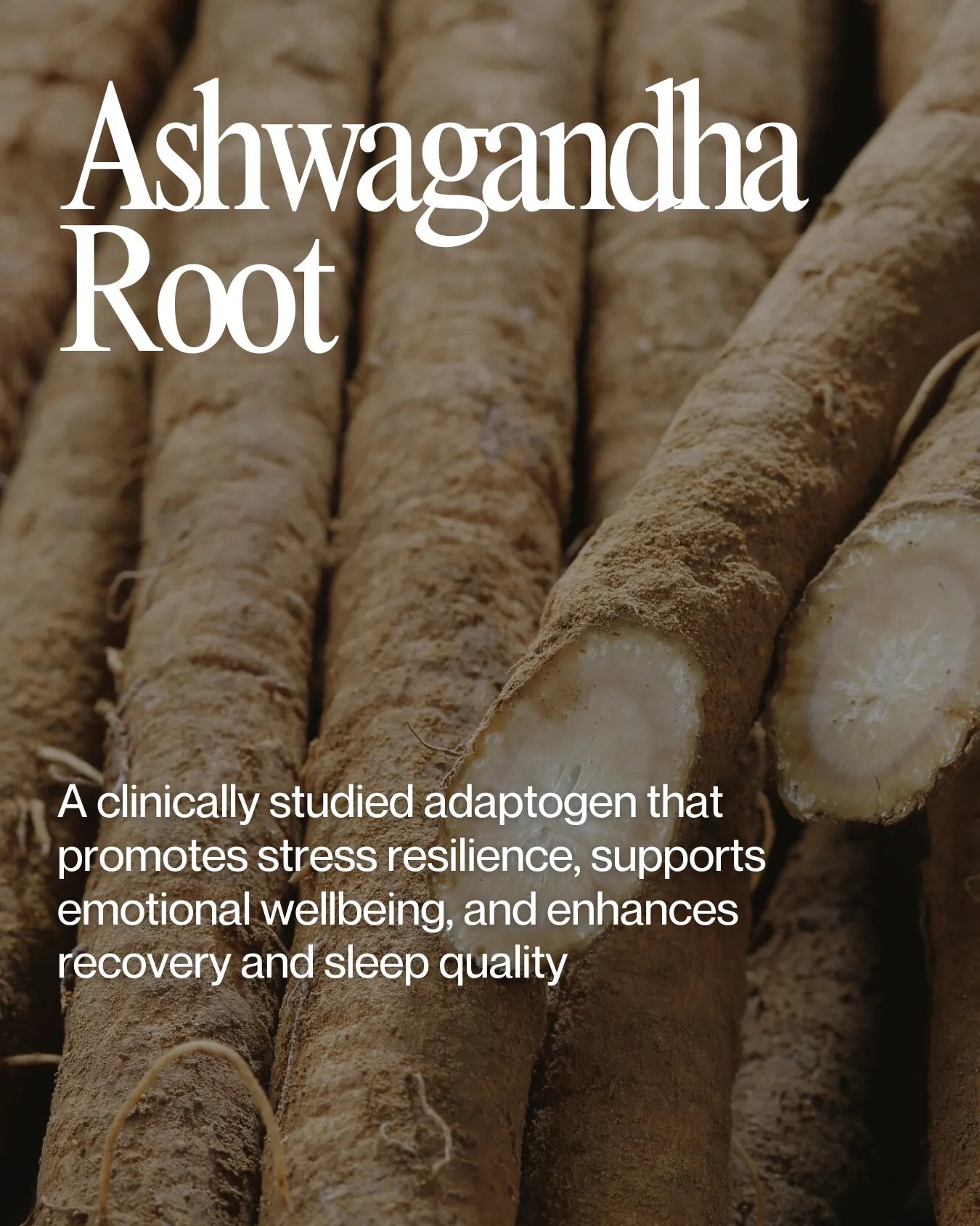 Informational about Ashwagandha Root health benefits