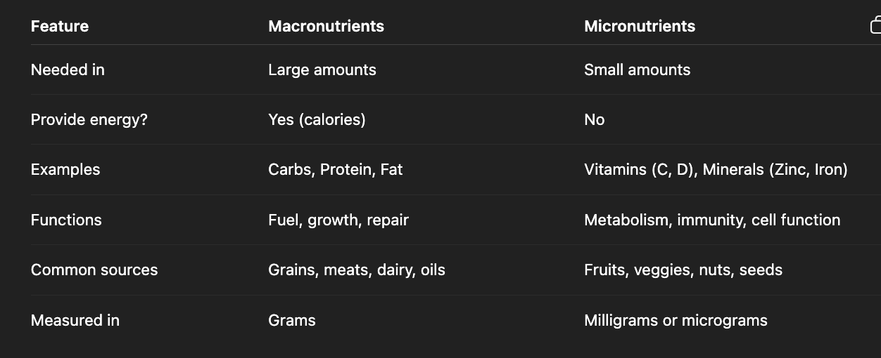 Macros vs. Micros: Key Differences