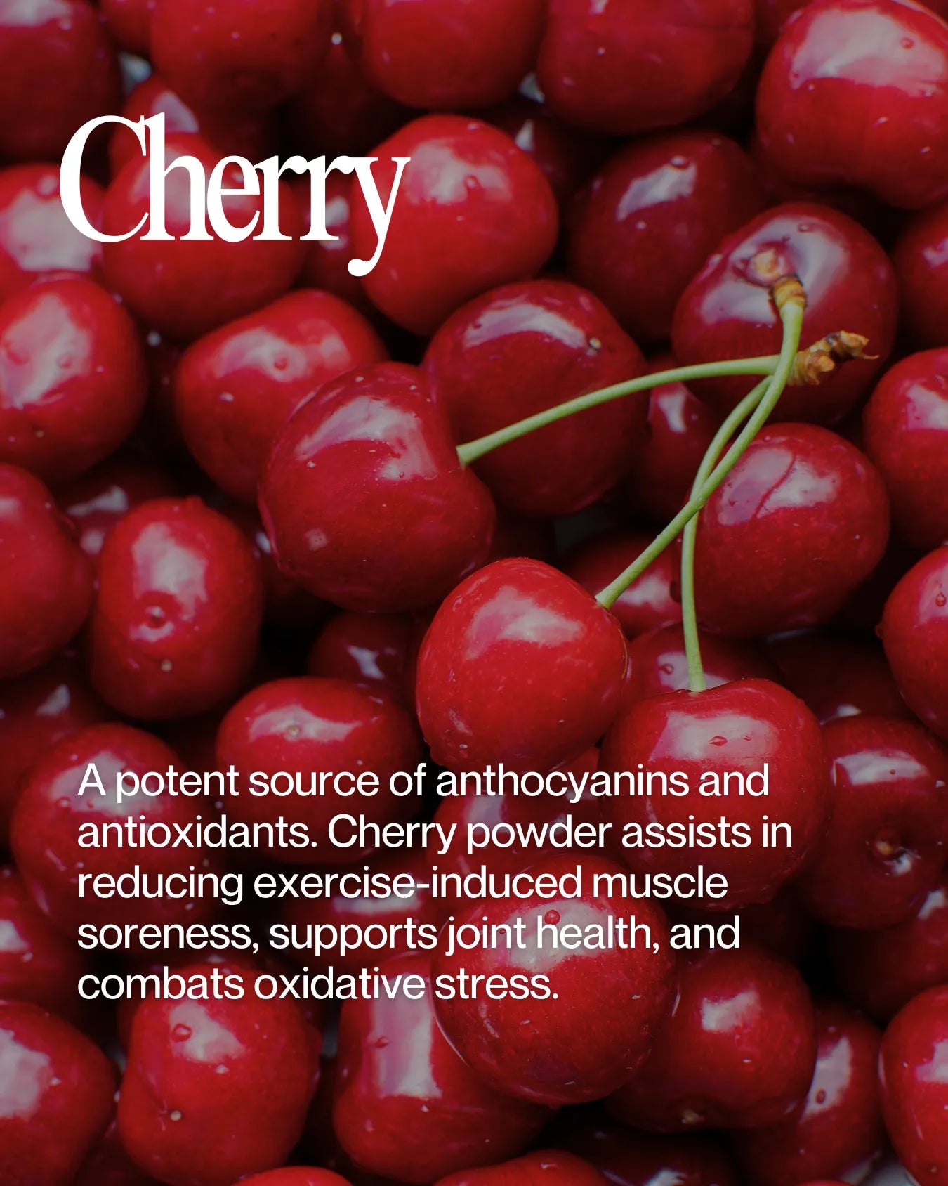 Informational about Cherry health benefits