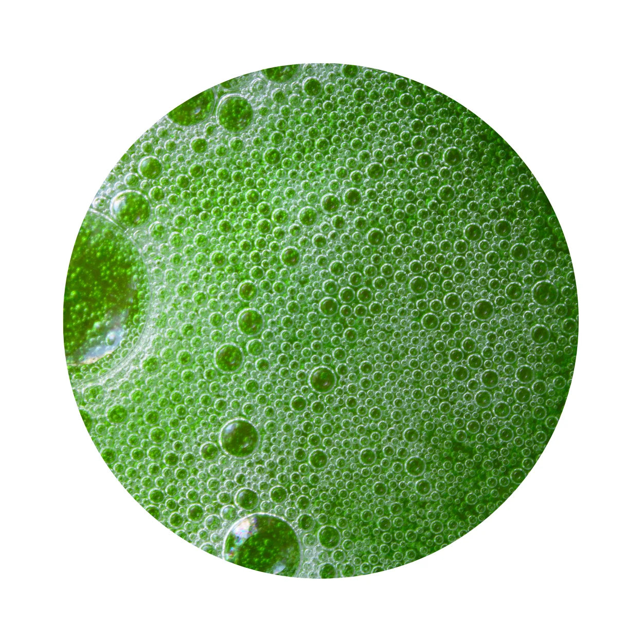 a closeup of a green liquid