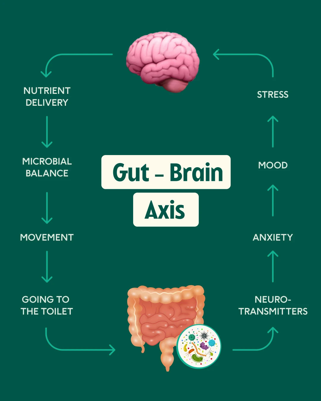 Gut - Brain Axis diagram