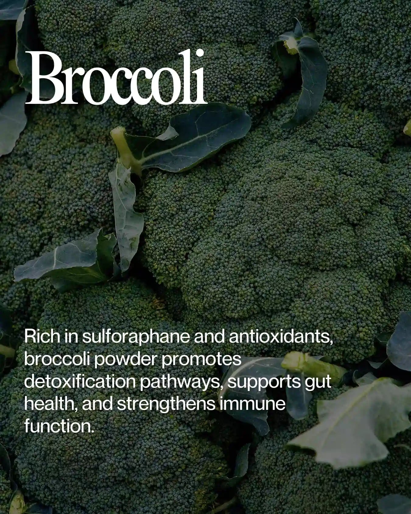 Informational about Broccoli health benefits