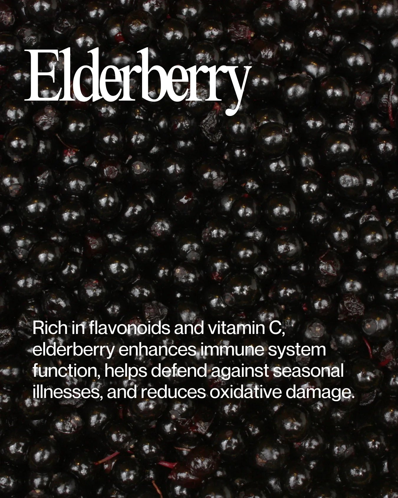 Informational about Elderberry health benefits