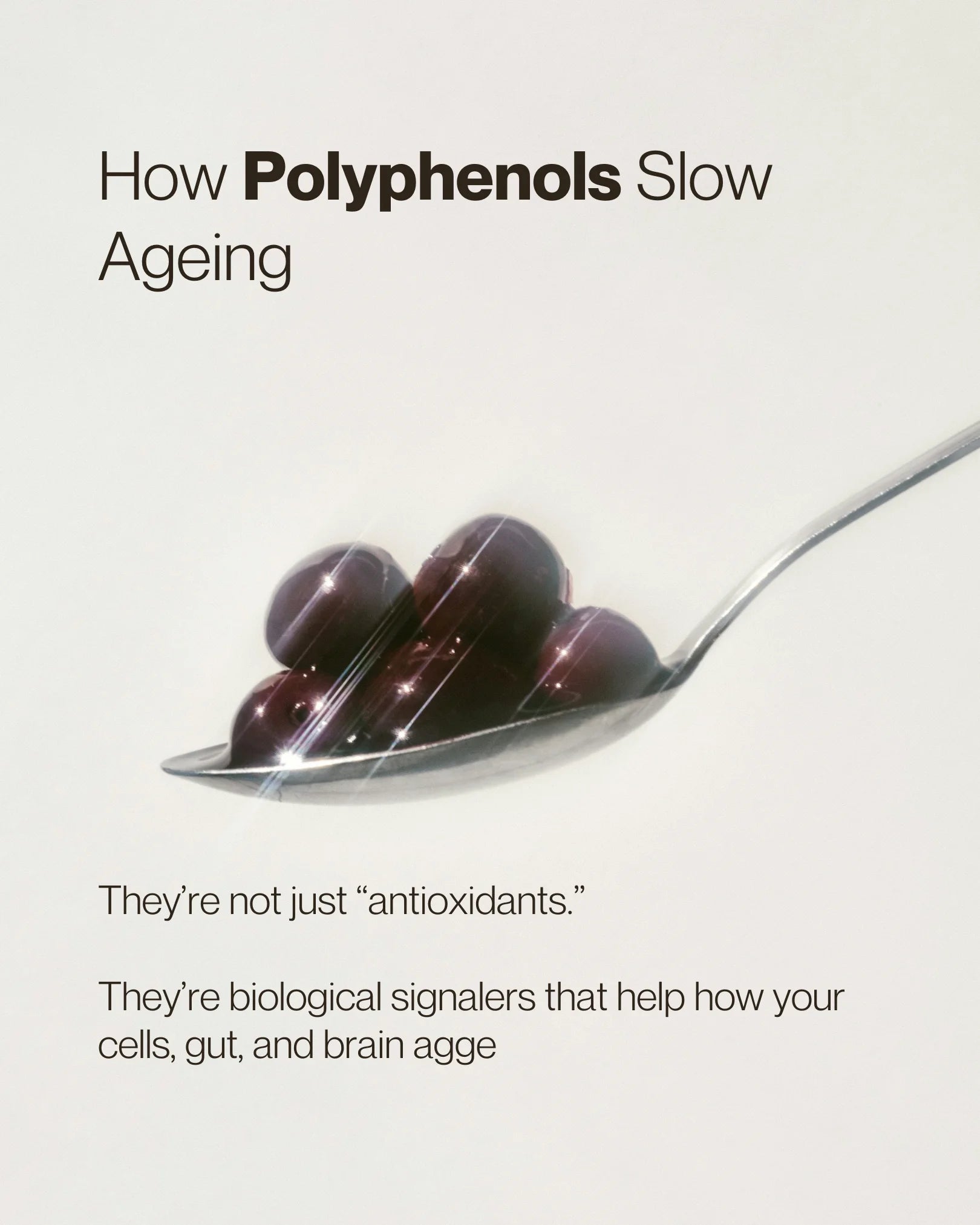 How Polyphenols Slow Ageing