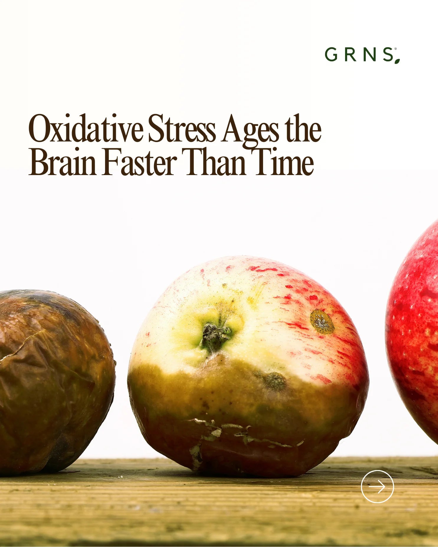 Oxidative Stress Ages the Brain Faster Than Time