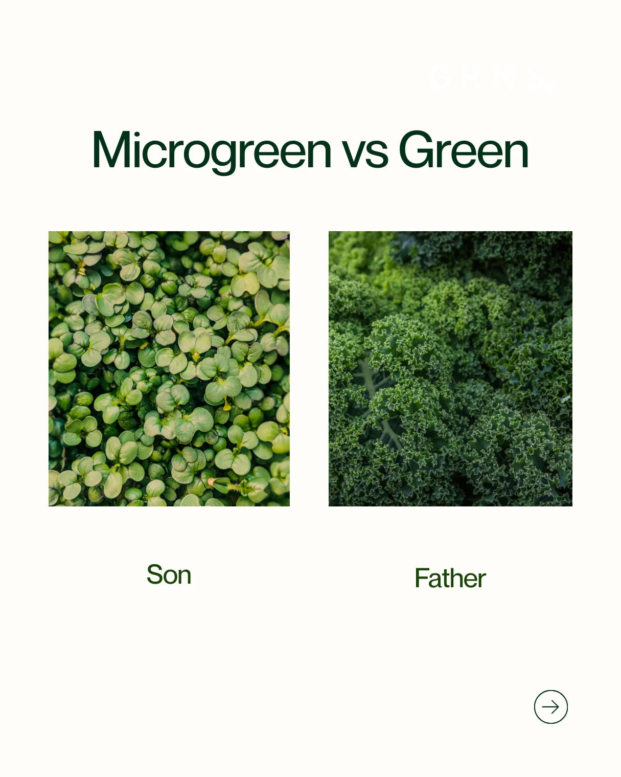 Microgreens Vs Greens