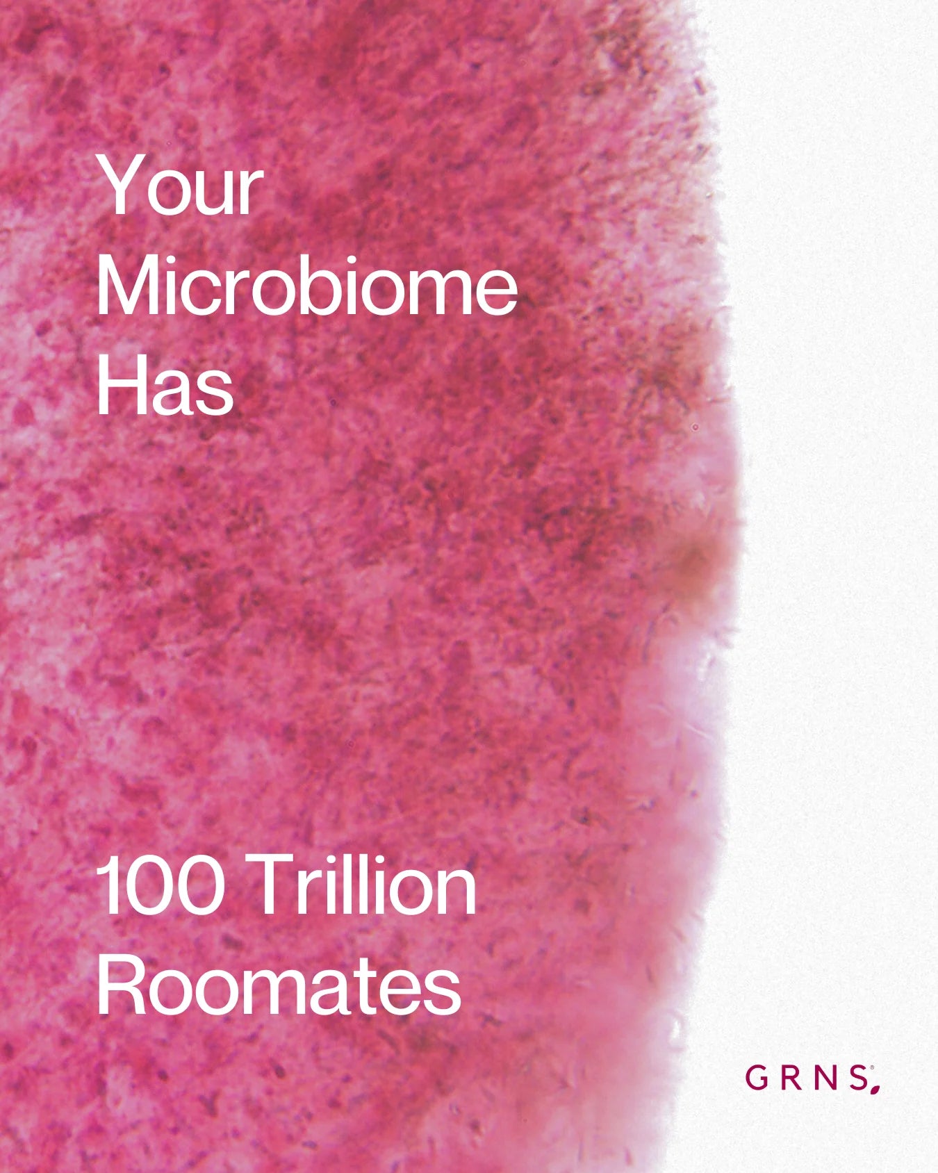 Your Microbiome Has 100 Trillion Roommates